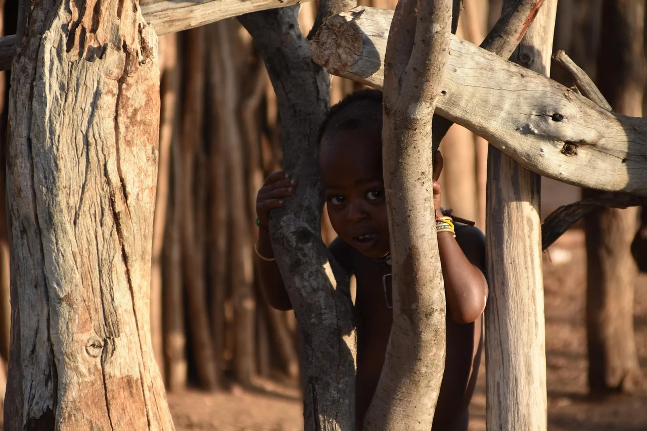 9-Day Ethiopian Expedition Wildlife Photography Tour gallery image