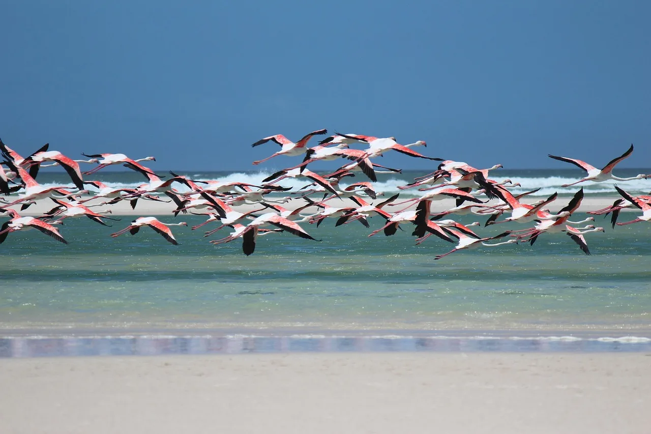 1-Day Lake Nakuru Mini Safari - Kenya safaris gallery image