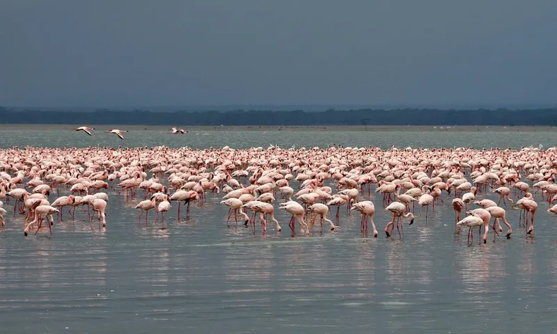 4-Day Tanzania Sharing Safari to Manyara, Serengeti & Ngorongoro - Best Group