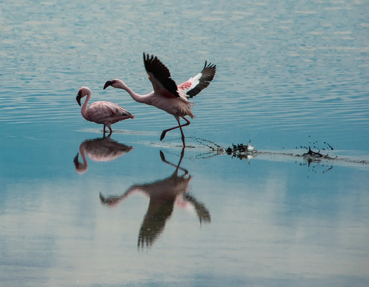 3-Day 2-Nights Mikumi National Park by Train 2026 - 2027