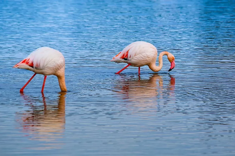 5-Day Explore Zimbabwe, Zambia and Botswana