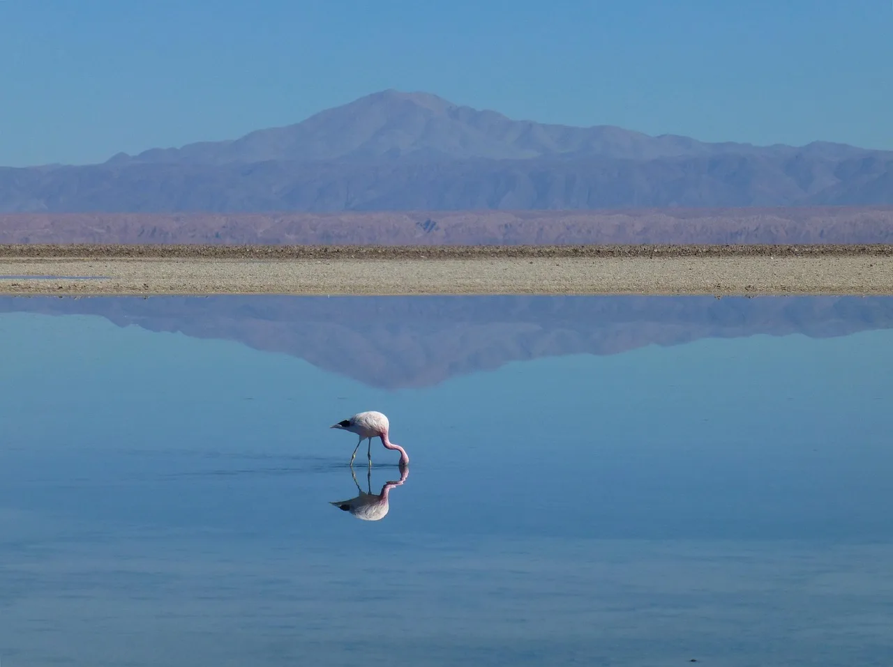 1-Day Trip to  Lake Challa Visit things to do in Moshi gallery image