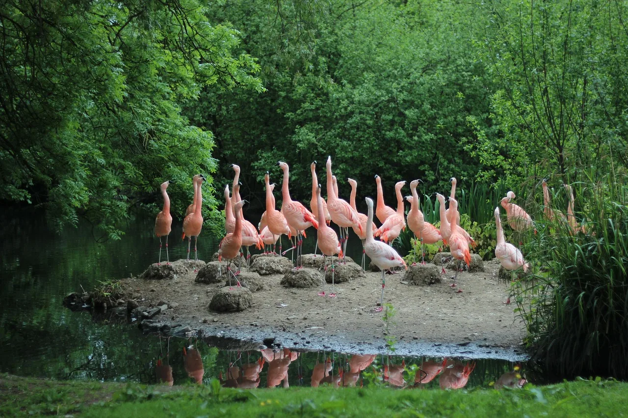 3-Day Akagera National Park Wildlife Safari - Rwanda gallery image