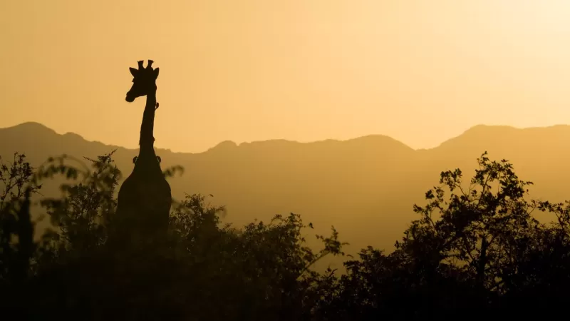 Unforgettable 4-Day Visiting All Best Park Private Safari - Tanzania safari gallery image