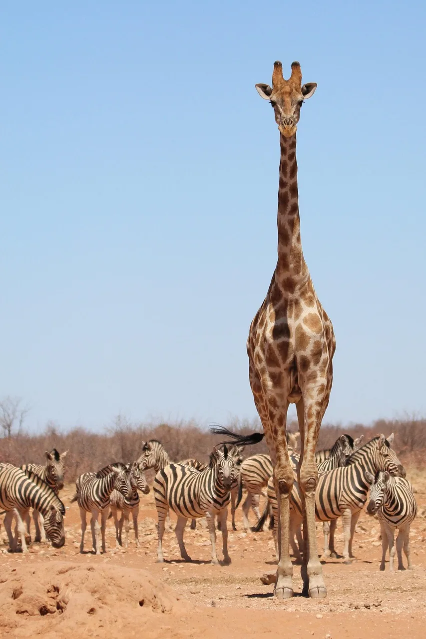 4-Day Kruger NP Big Five & Panorama Route Safari gallery image