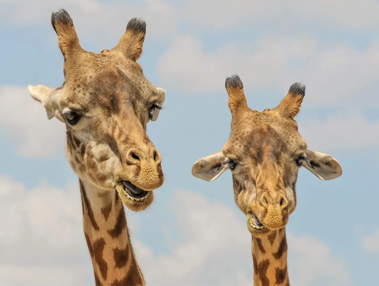 5-Day Victoria Falls and Botswana Standard Tour gallery image