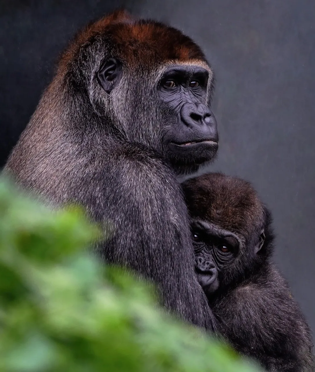 4-Day Bwindi Impenetrable, Lake Volcanoes NP Budget Tour - Rwanda gallery image