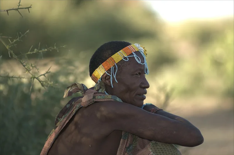 1-Day Trip to Hadzabe and Datoga Community Lake Eyasi gallery image