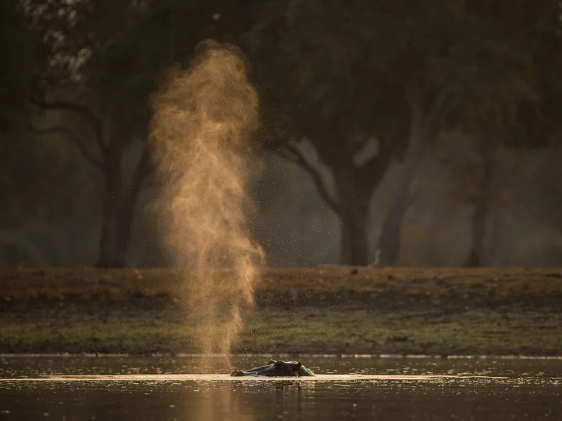 3-Day Victoria Falls & Chobe National Park gallery image