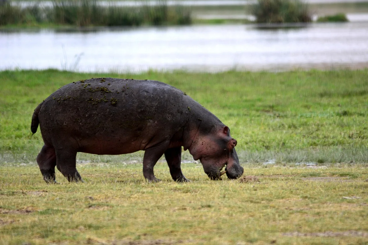 12-Days  Luxury Kruger Safari & Mauritius Escape gallery image