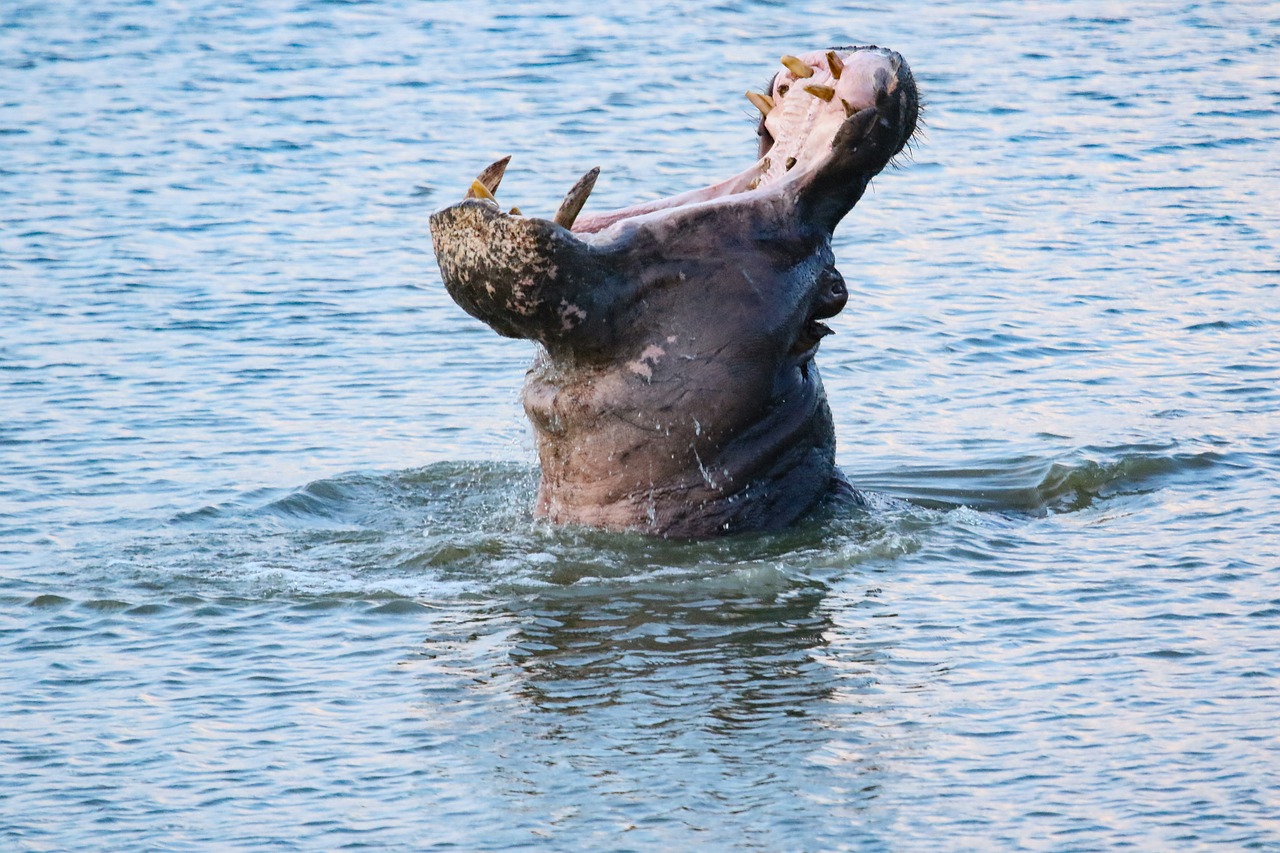 13-Day Luxury Kenya Bush and Beach Escape - Kenya safaris gallery image