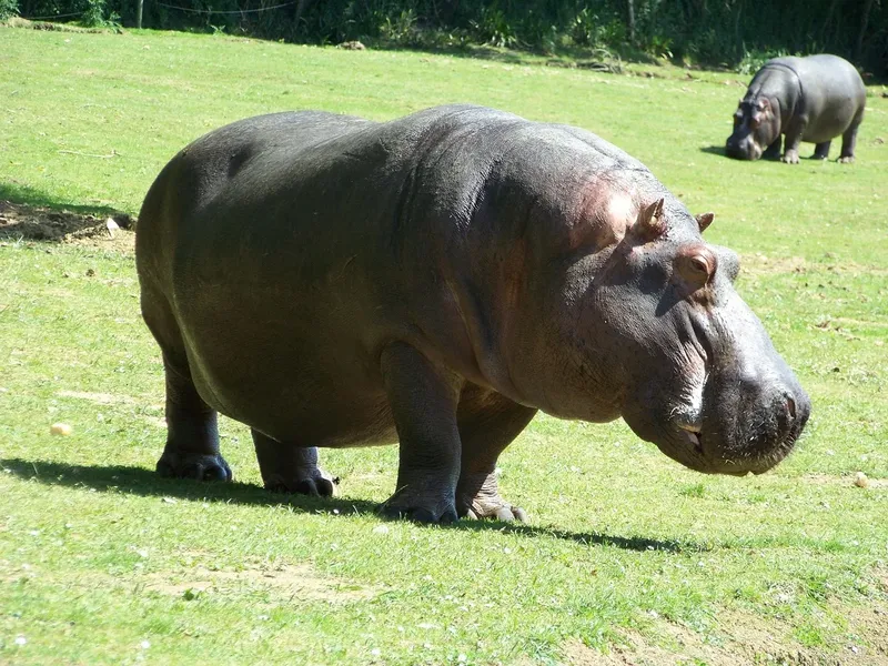 3-Day Wonderful Mikumi Adventures with Cultural Tour - Tanzania safari