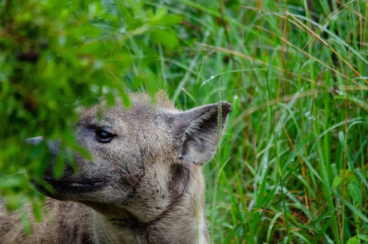 1-Day Nairobi City Tour - Kenya tours hero photo