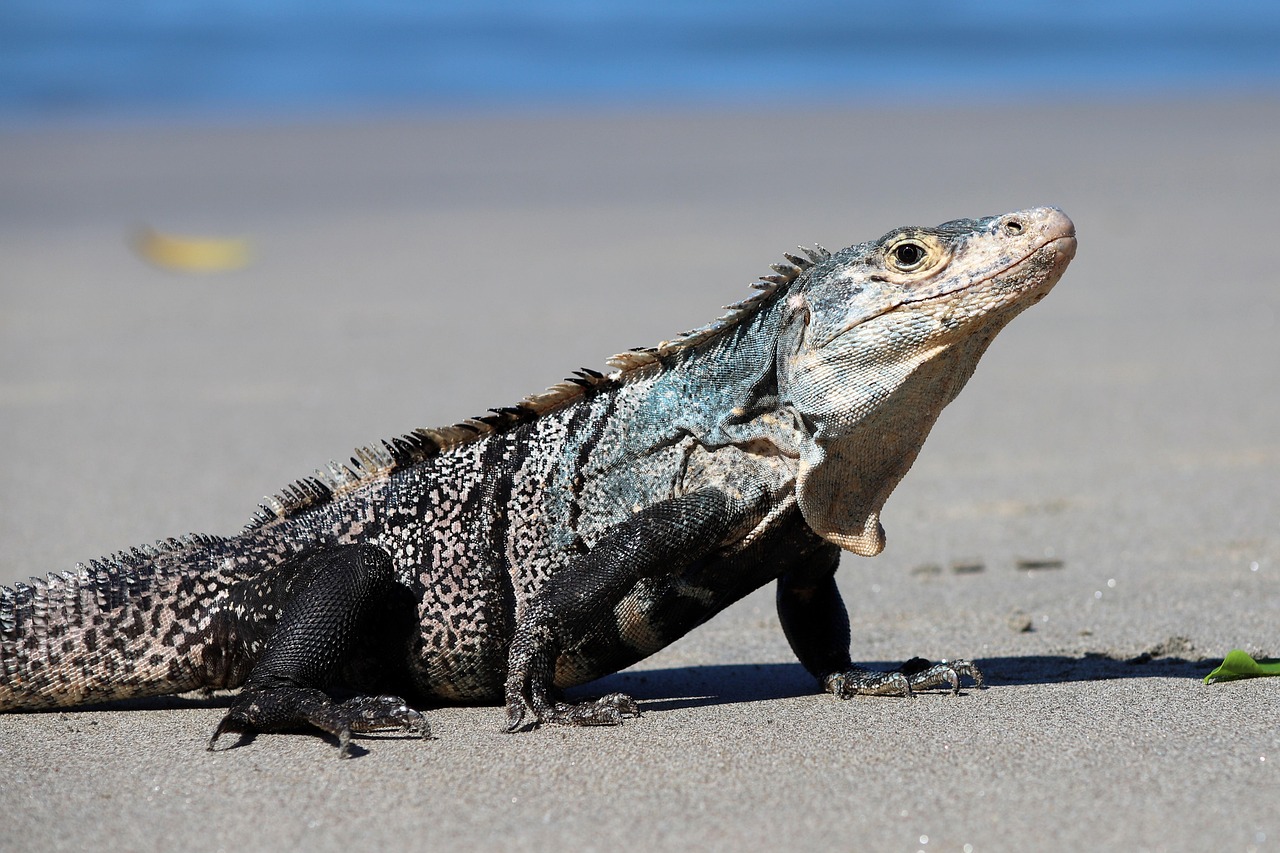 8-Day Kenya & Tanzania Family Safari Beach Eco-Adventure - Tanzania safari gallery image