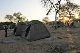 10-Day Magical Bush and Beach Safari - Kenya safaris hero photo