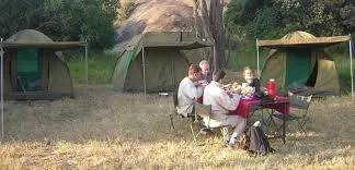 14-Day Uganda, Kenya, Tanzania, & Zanzibar Beach Holiday - Kenya, Uganda & Tanzania safari gallery image