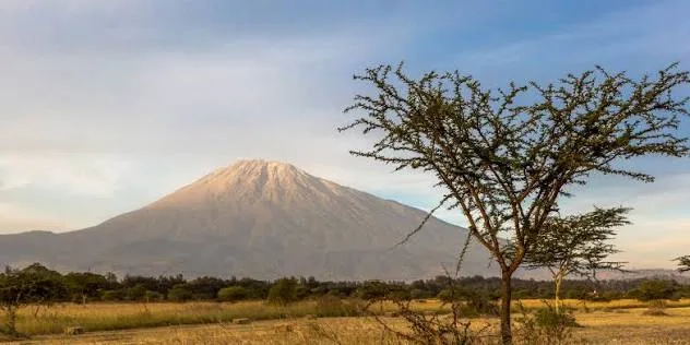 Full-Day Guided Tour in Arusha City (From Zanzibar) gallery image