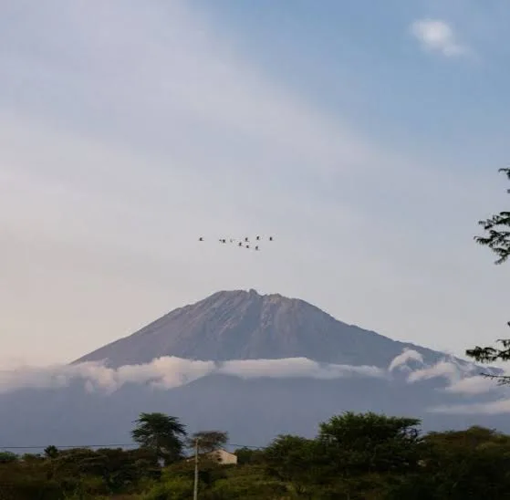 Full-Day Guided Tour in Arusha City (From Zanzibar) gallery image