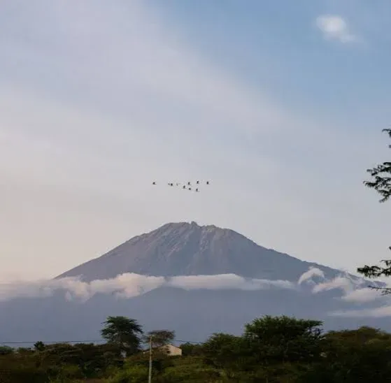 Full-Day Guided Tour in Arusha City (From Zanzibar) gallery image