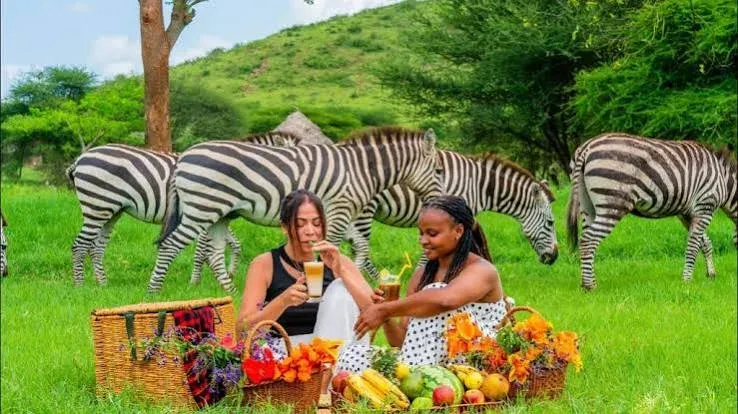 2-Day Fly-In Fly-Out Serval Wildlife Experience (From Zanzibar) Family Tour (4 - 8 People) gallery image