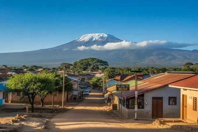 Full-Day Moshi Walking Tour (From Zanzibar)