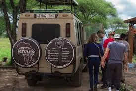 3-Day Flying in Serengeti and Ngorongoro Crater - Tanzania safari gallery image