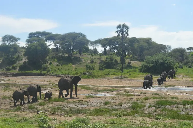 2-Day Fly from Zanzibar to Tarangire & Ngorongoro