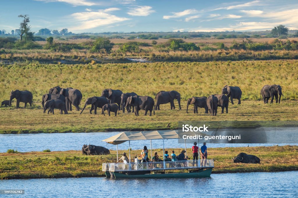 1-Day Chobe National Park, Return to Victoria Falls Town gallery image