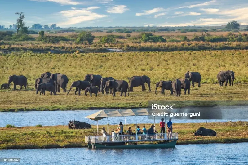 5-Day Moremi and Chobe National Park gallery image