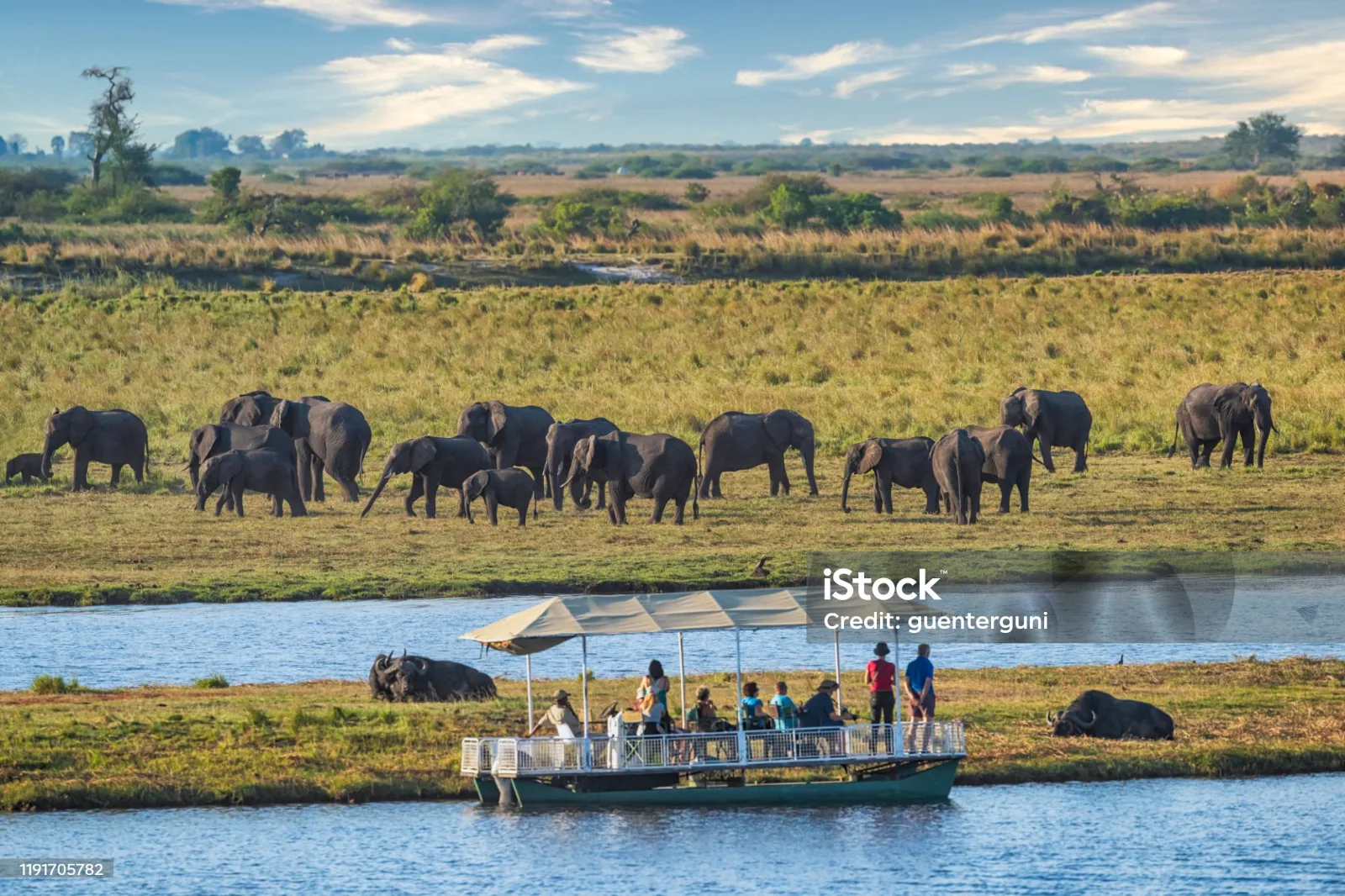 5-Day Victoria Falls & Chobe a' Zambezi River Lodge Tour gallery image