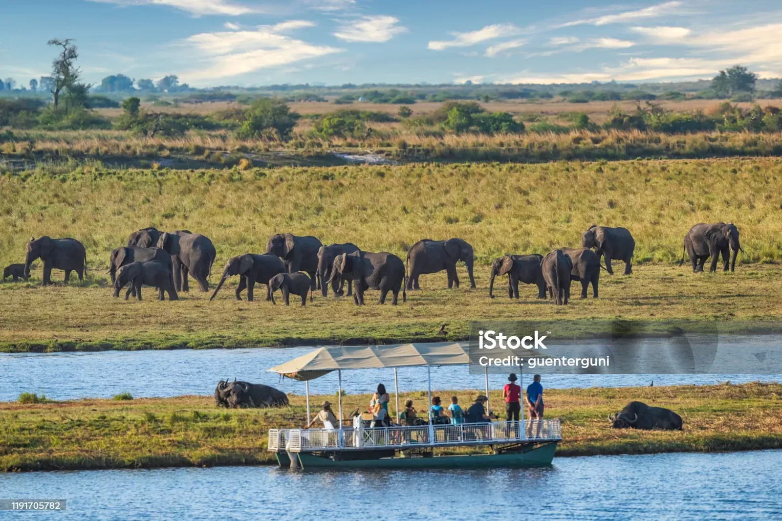 2-Day Full Chobe National Park Camping Tour hero photo