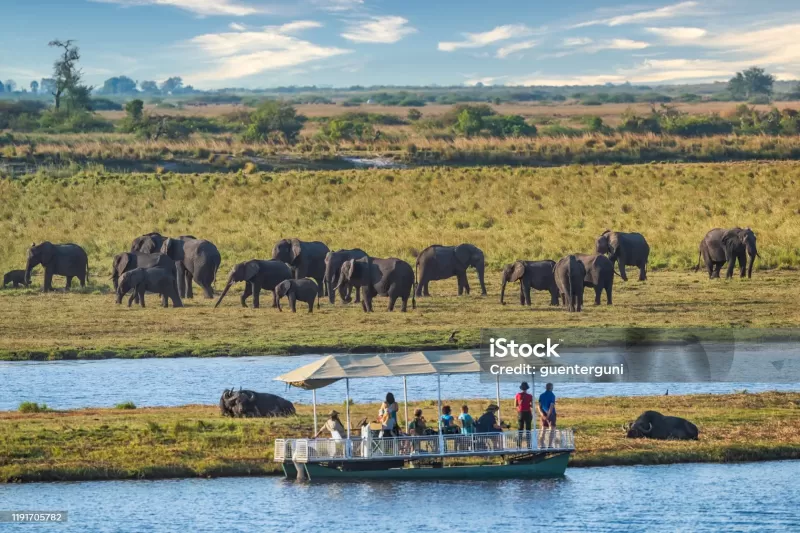 5-Day Victoria Falls & Chobe a' Zambezi River Lodge Tour gallery image