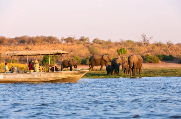 1-Day Mokoro Safari Okavango Delta gallery image