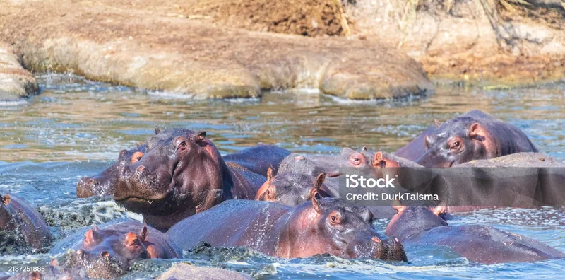 2-Day Full Chobe National Park Camping Tour gallery image
