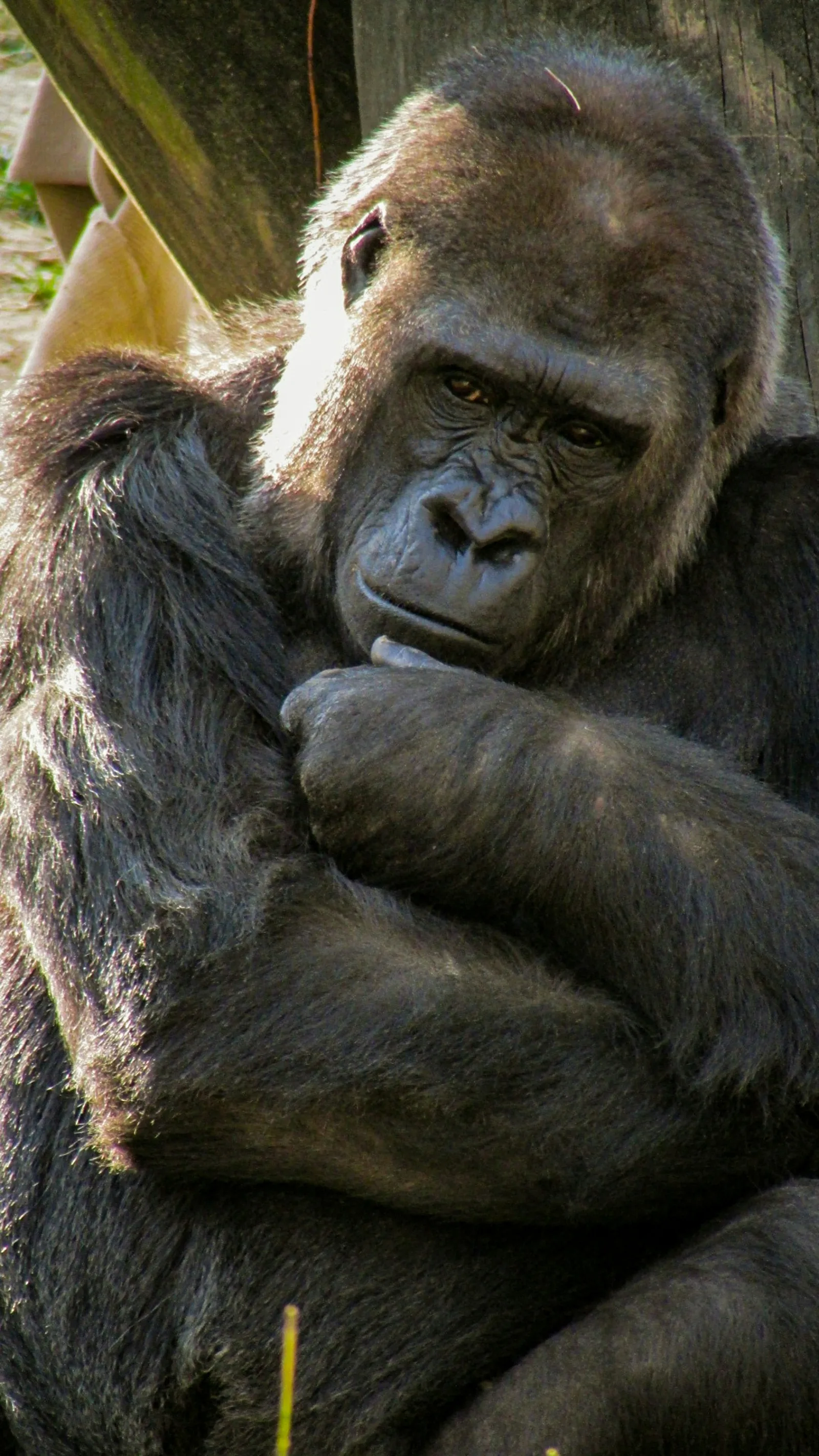 3-Day Exciting Queen Elizabeth National Park Safari - Uganda gallery image