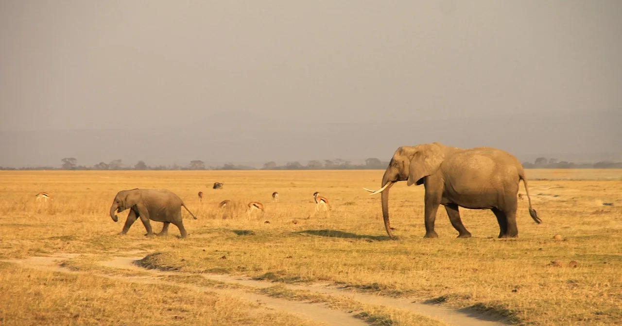 14-Days  Mozambique and Kruger - Beach and Bush gallery image