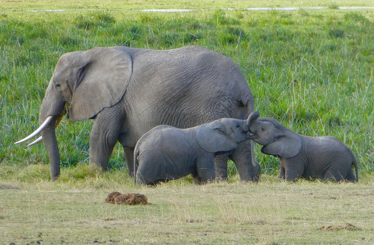 12-Days  Jewels of Southern Africa gallery image