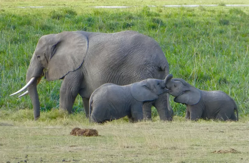 12-Days  Jewels of Southern Africa gallery image