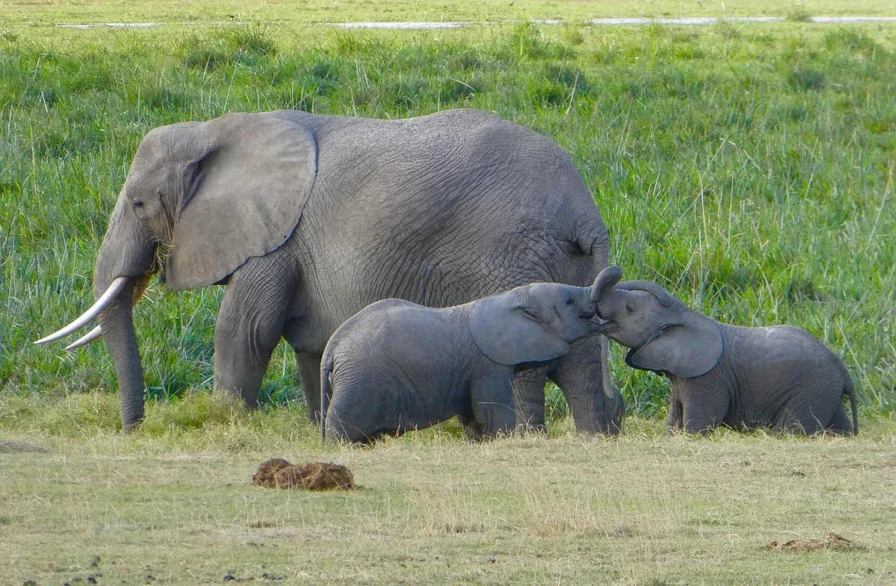 14-Days  Mozambique and Kruger - Beach and Bush hero photo