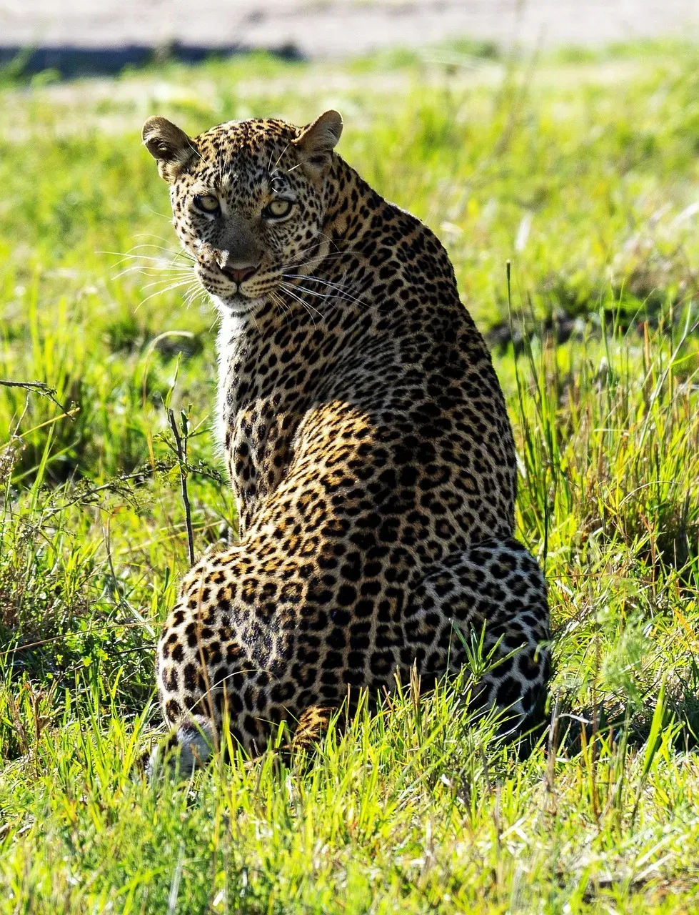 7-Day Off the Beaten Path - Luxury - Kenya safaris hero photo