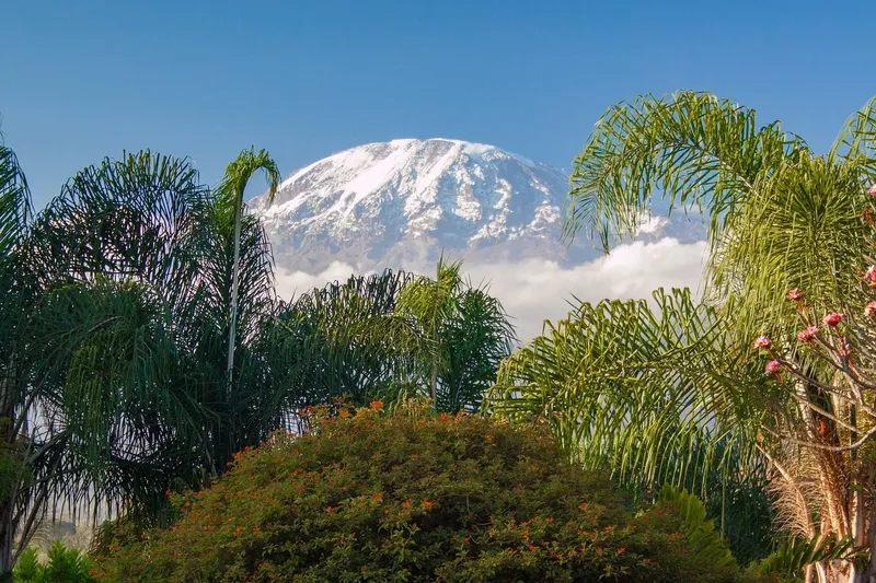 1-Day Kilimanjaro Hike from Arusha/Moshi - Kilimanjaro