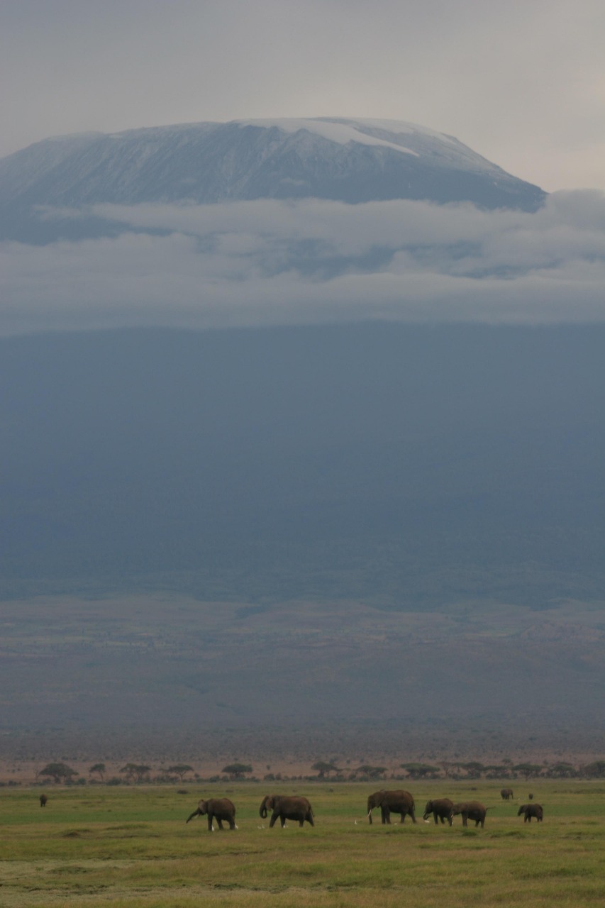 3-Day Mt Kilimanjaro Hike Tarangire & Ngorongoro Crater - Tanzania safari gallery image