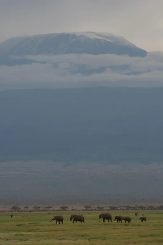 3-Day Mt Kilimanjaro Hike Tarangire & Ngorongoro Crater - Tanzania safari