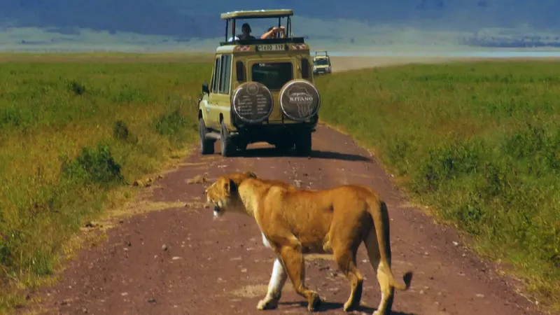 2-Day Tanzania Leisure Safari - Tanzania safari gallery image