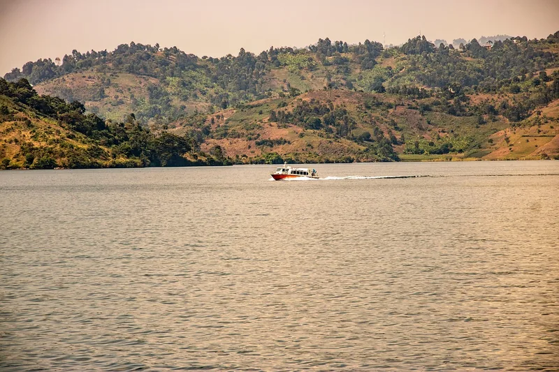 3-Day Chimpanzee Trekking, Canopy & Lake Kivu Adventure - Rwanda gallery image