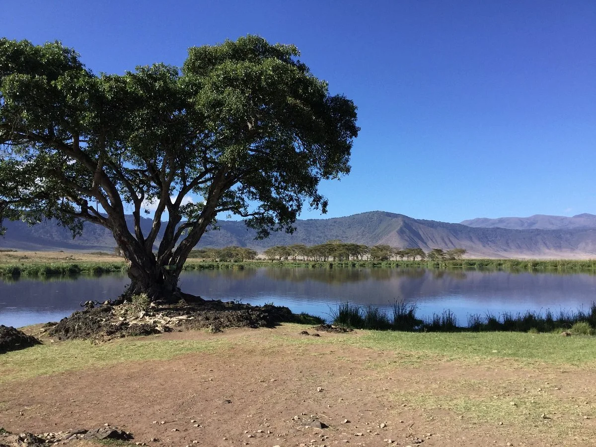 5-Day Tarangire, Ngorongoro & Manyara Perfect Trip - Tanzania safari gallery image