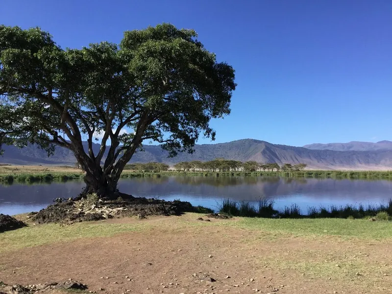 5-Day Tarangire, Ngorongoro & Manyara Perfect Trip - Tanzania safari gallery image