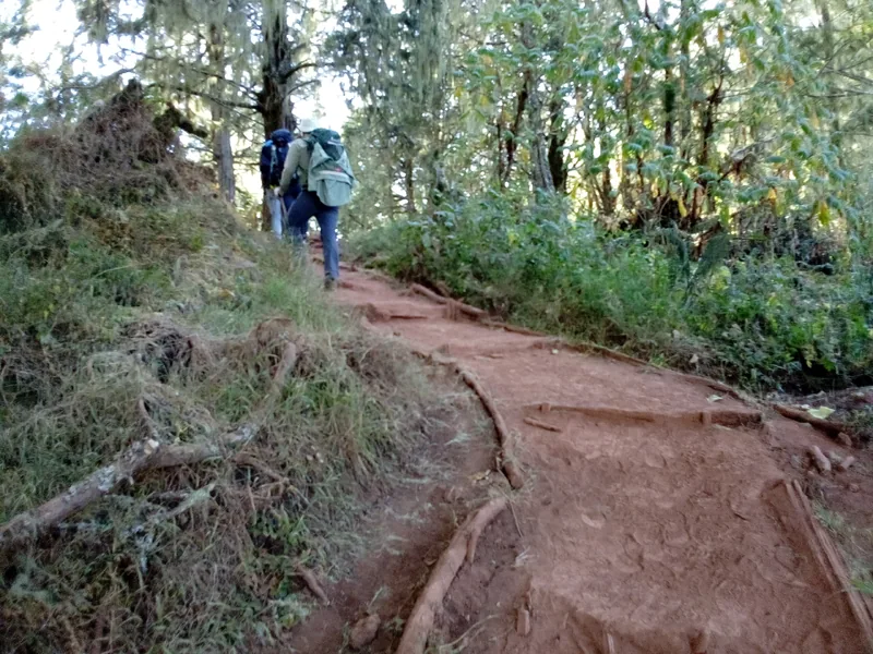 9-Day Kilimanjaro Climb, Machame Route - Kilimanjaro gallery image