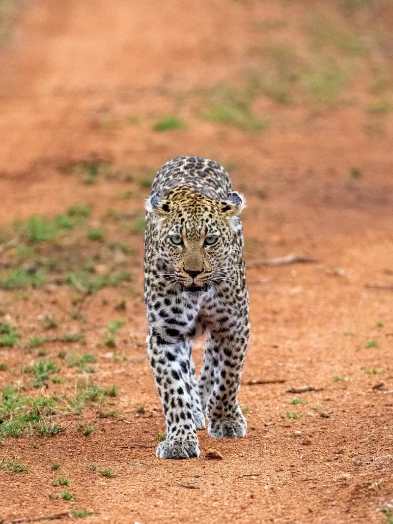 1-Day Adventure on the Kenyan Coast - Kenya tours