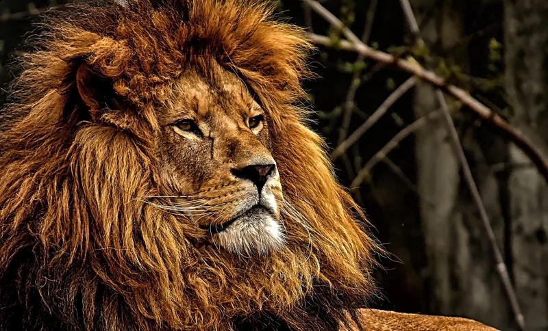 6-Day Amazing Safari & Zanzibar Beach Holidays - Tanzania safari